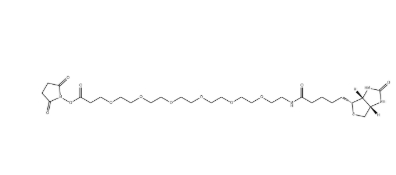 （+）-Biotin-PEG6-NHS Ester