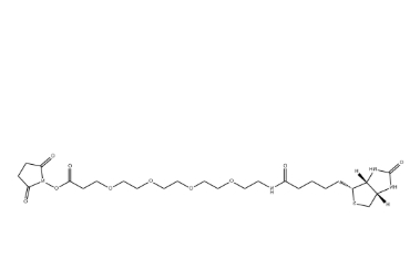 （+）-Biotin-PEG4-NHS Ester