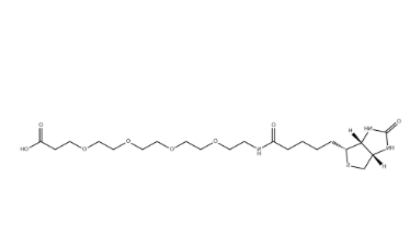 （+）-Biotin-PEG4-CH2CH2COOH