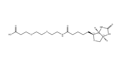 （+）-Biotin-PEG2-CH2CH2COOH