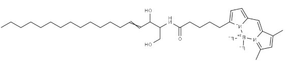 BODIPY FL C5-Ceramide