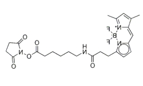 BODIPY FL-X,SE