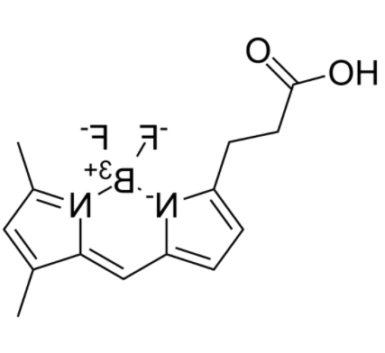 3-Bodipy-propanoic Acid 