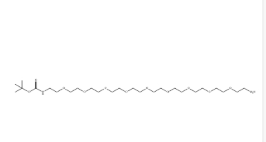 BocNH-PEG9-CH2CH2NH2