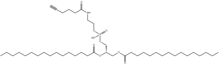 	DPPE-Alkyne 