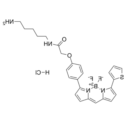 BODIPY TR Cadaverine BODIPY TR Cadaverine