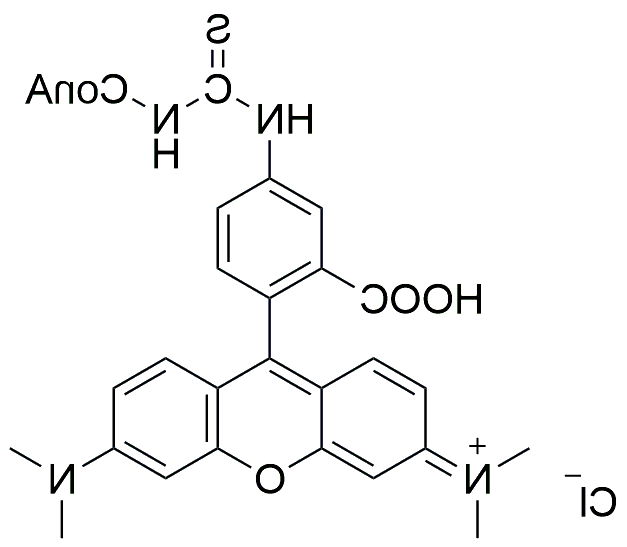 TRITC-ConA，荧光标记刀豆蛋白