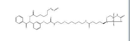 紫外线可分裂的生物素-聚乙二醇-叠氮