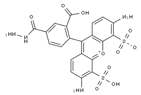 	BP Fluor 488 Hydrazide  