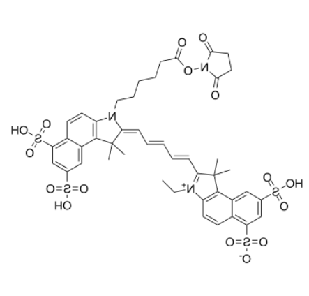 	Cy5.5-N-羟基琥珀酰亚胺酯	 