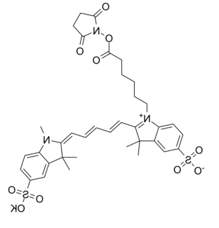 	磺基花青5 NHS酯	 