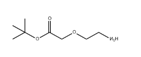 NH2-PEG1-CH2COOtBu NH2-PEG1-CH2COOtBu