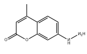 Coumarin hydrazine