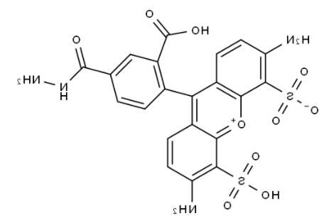	BP Fluor 488 Hydrazide 