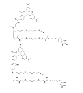 TAMRA-Azide-PEG-Biotin 