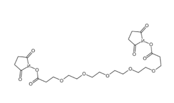 Bis-PEG5-NHS ester  