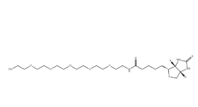 （+）-Biotin-PEG6-OH