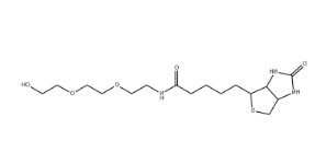 （+）-Biotin-PEG3-OH
