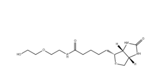 （+）-Biotin-PEG2-OH