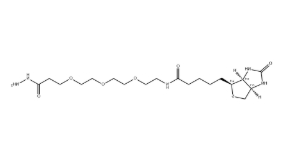 （+）-Biotin-PEG3-Hydrazide