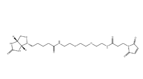 （+）-Biotin-PEG2-NH-Mal