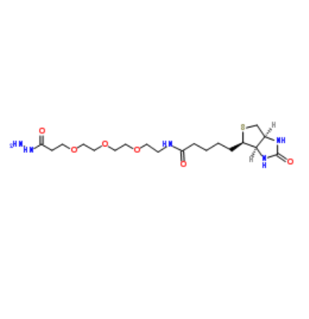 	Biotin-PEG3-propionic hydrazide  