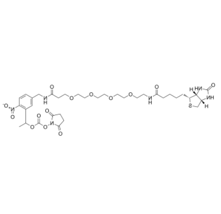 PC-Biotin-PEG4-NHS carbonate  