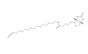（+）-Biotin-PEG4-CH2CH2N3