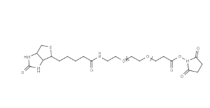 （+）-Biotin-PEG24-NHS Ester