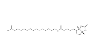 （+）-Biotin-PEG4-CH2CH2COOH