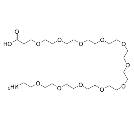 Amino-PEG11-acid 