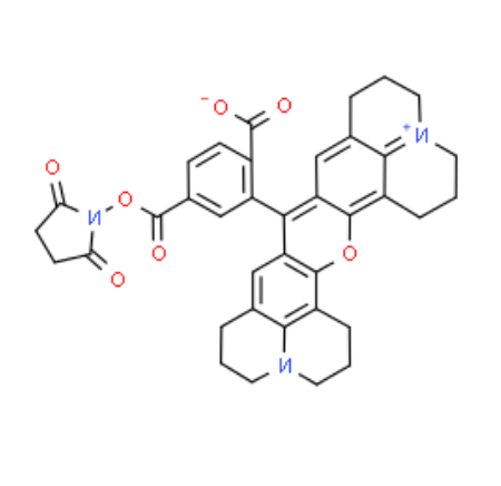6-CARBOXY-X-RHODAMINE SUCCINIMIDYL ESTE 6-CARBOXY-X-RHODAMINE SUCCINIMIDYL ESTE
