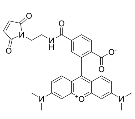 6-TAMRA maleimide 