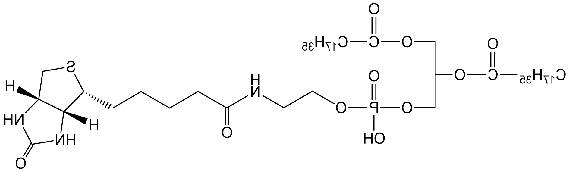 磷脂生物素，DSPE-Biotin