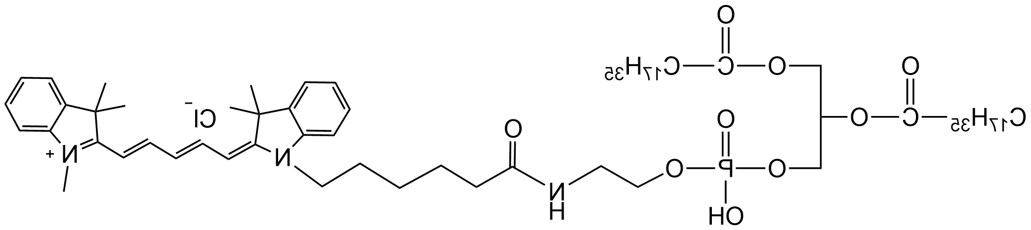 CY5标记二硬脂酰磷脂酰乙醇胺