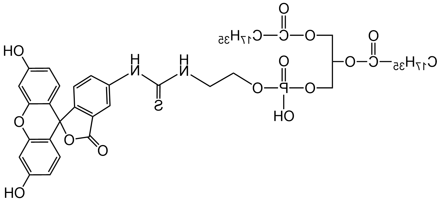 荧光素标记二硬脂酰磷脂酰乙醇胺，DSPE-FITC