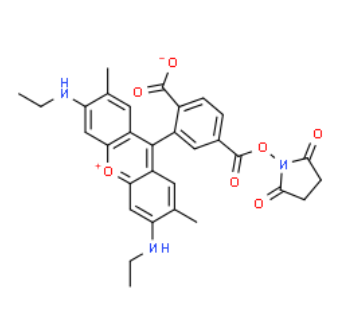 6-CARBOXYRHODAMINE 6G, SUCCINIMIDYL ESTER  