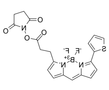 	BDP 558/568 NHS ester  