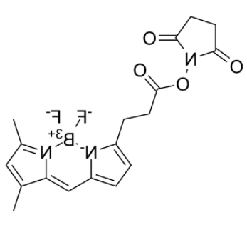 	BDP FL NHS Ester