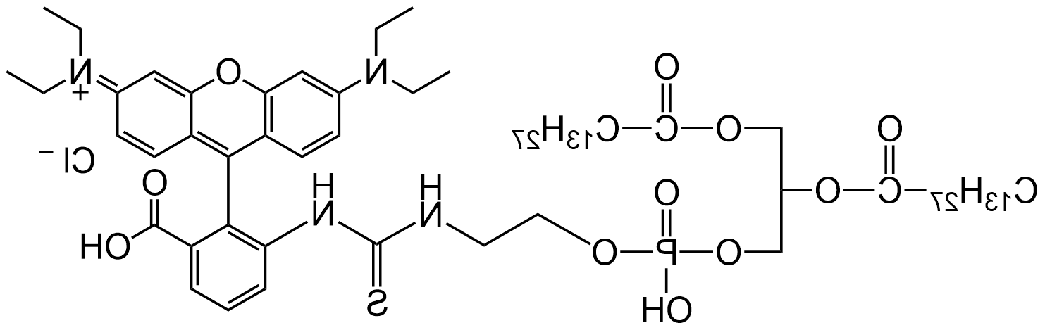 DMPE-RB，罗丹明B标记磷脂酰乙醇胺