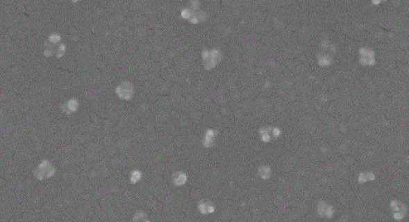 Gold Nanoparticles,Au  50nm  