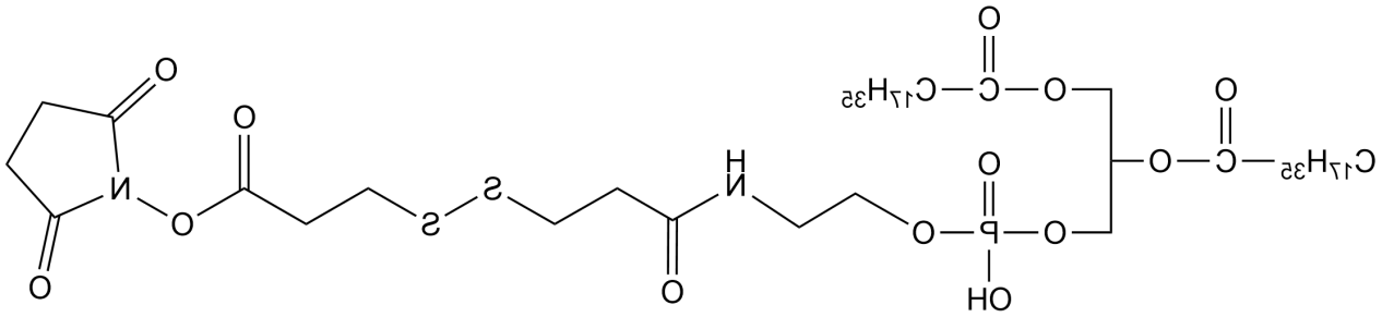 DSPE-SS-NHS，磷脂-二硫键-琥珀酰亚胺酯
