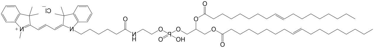 ,2-二油酰-sn-甘油-3-磷脂酰乙醇胺-Cy3，DOPE-CY3