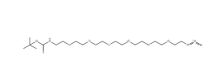 BocNH-PEG6-CH2CH2N3