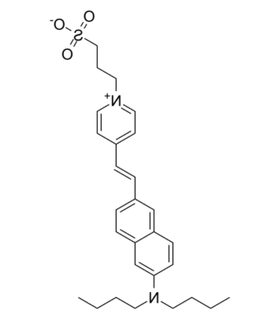 Di-4-ANEPPS 
