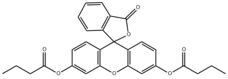 荧光素二丁酸酯 