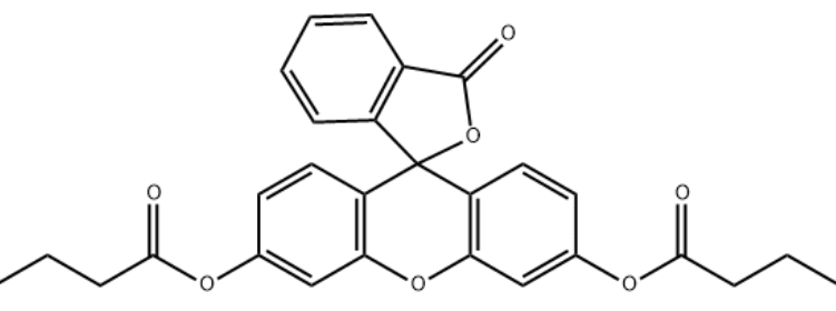 5'-荧光素氨基磷酸酯	 