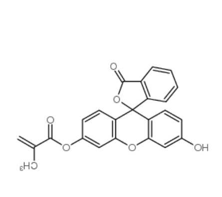 荧光素O-甲基丙烯酸酯	 