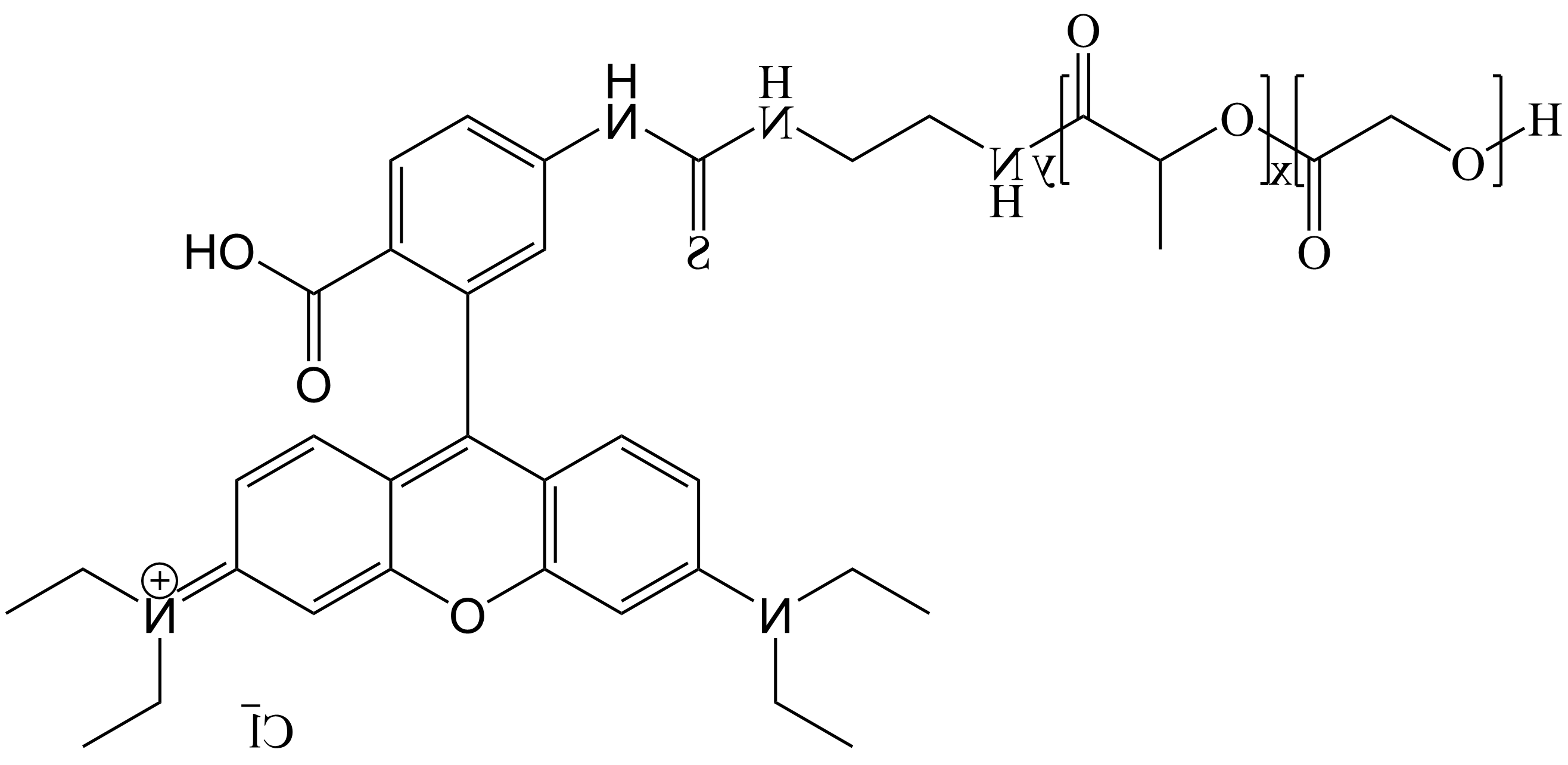 PLGA-RB，聚乳酸-羟基乙酸-罗丹明B