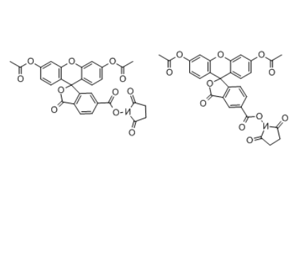 5(6)-羧基二乙酸荧光素琥珀酰亚胺酯(CFDA)	 